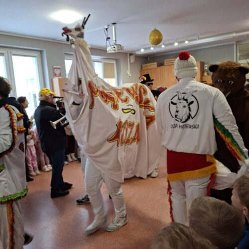 OSTATKI – KOZA MĄTEWSKA